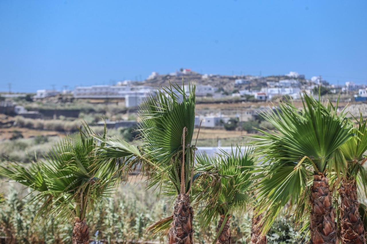 The George Villas With Private Pool, Close To Mykonos Town - Chora Buitenkant foto