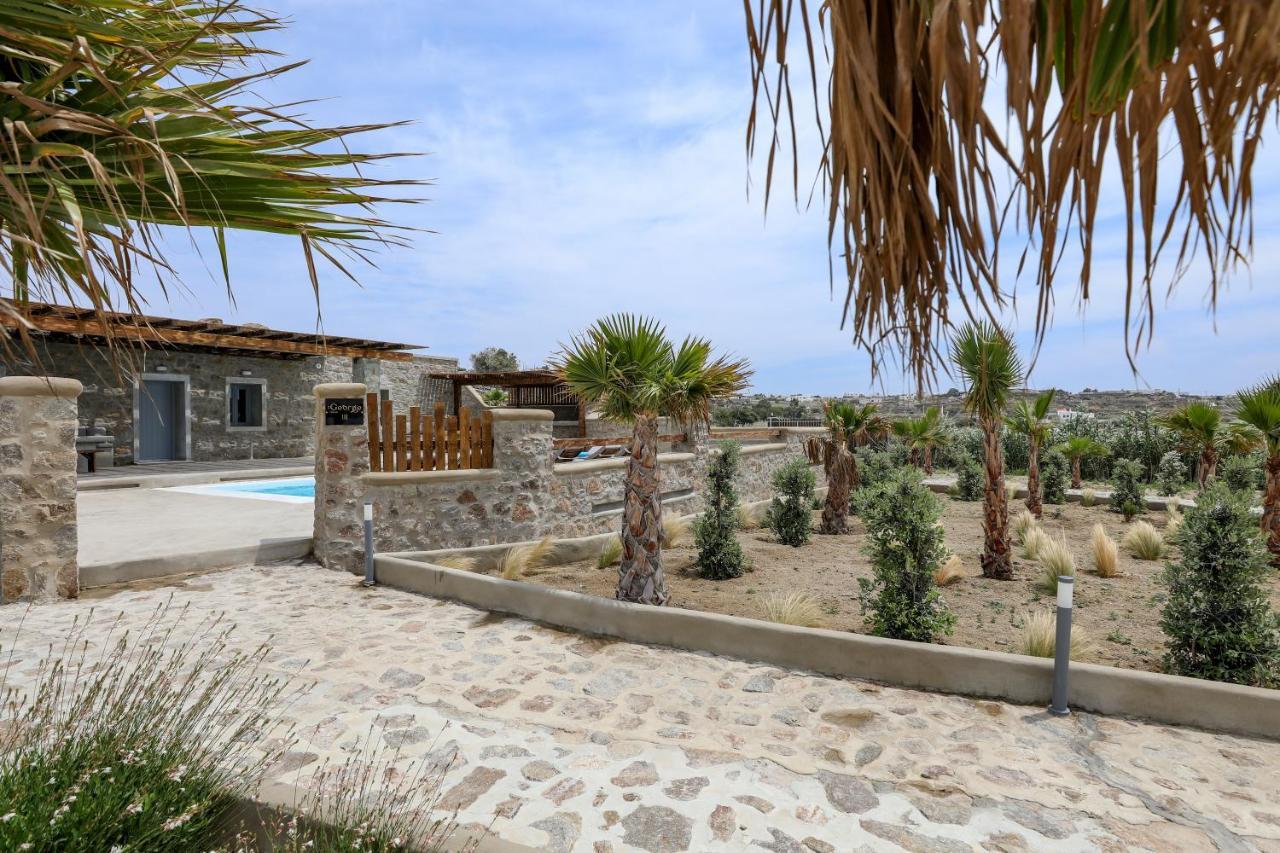 The George Villas With Private Pool, Close To Mykonos Town - Chora Buitenkant foto